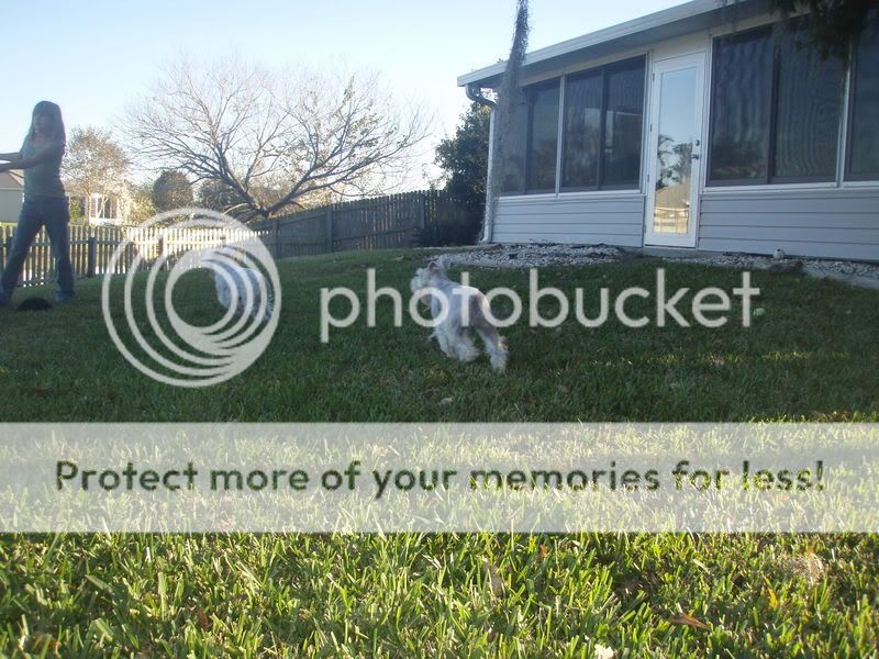 Photo Sharing and Video Hosting at Photobucket