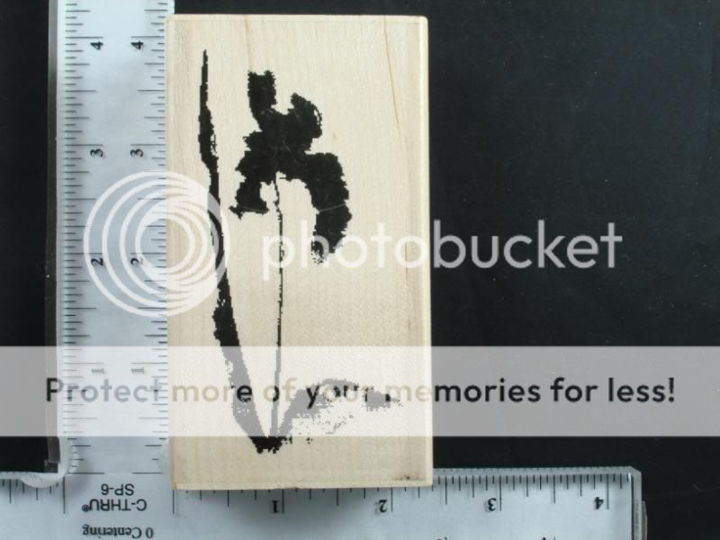 Paper Inspirations rubber stamp, WATERCOLOR IRIS  