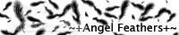 ~+Angel Feathers+~ banner