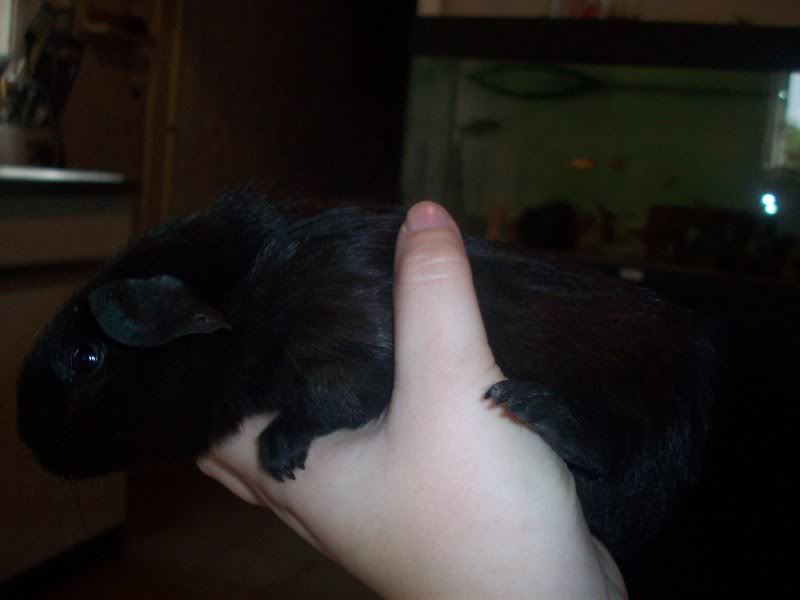 000_0009.jpg
