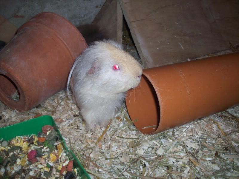 100_4303.jpg