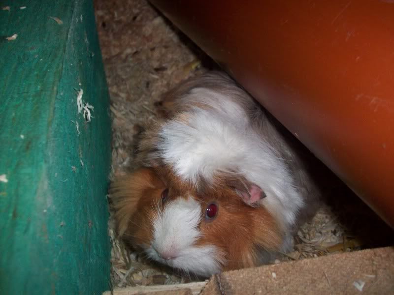 100_4307.jpg
