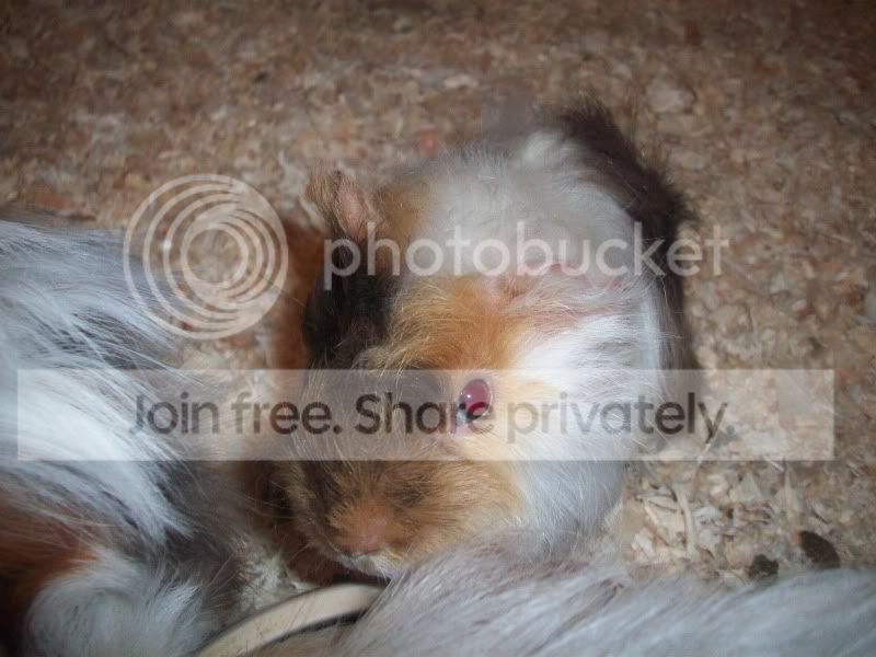100_4594.jpg