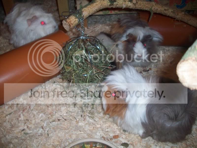 100_4597.jpg
