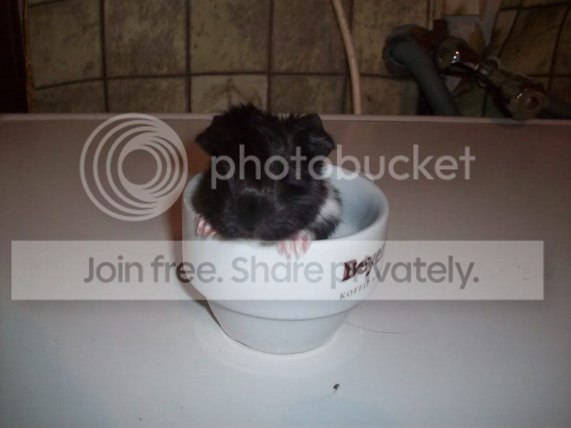 100_4623.jpg