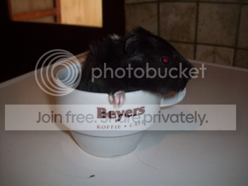 100_4624.jpg