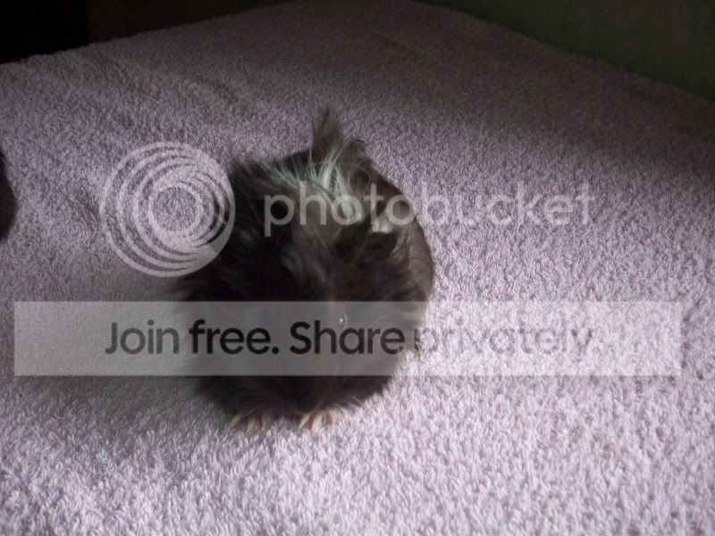 100_4811.jpg