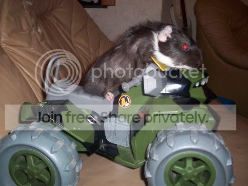 100_5013.jpg