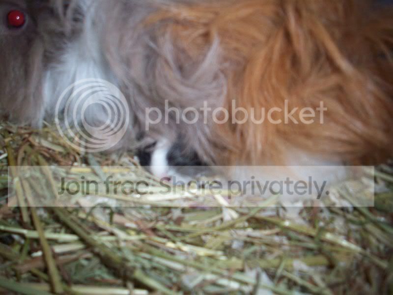 100_5313.jpg