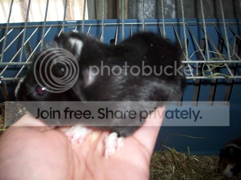 100_5328.jpg