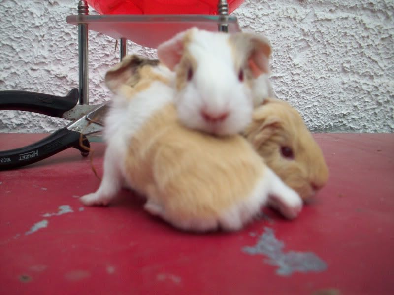 100_5746.jpg