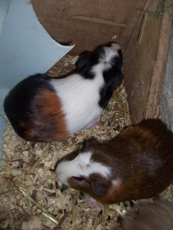 100_6907.jpg
